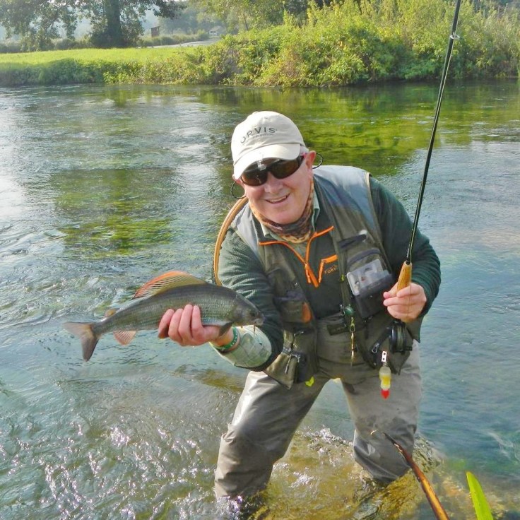 12698323_1138229536188834_5312486517448569928_o